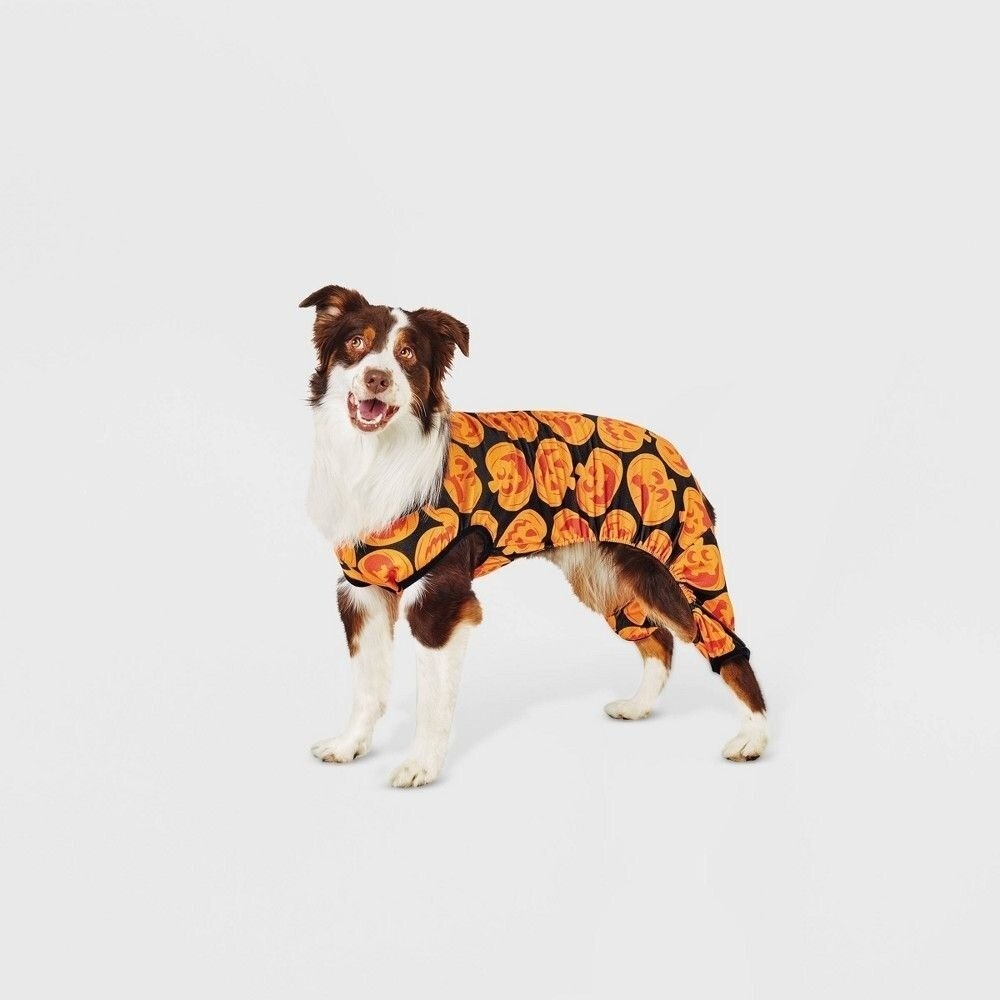 Hyde & EEK! Boutique Halloween‎ Pumpkins Matching Family Sleep Dog Pajama Large
